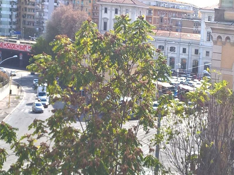 Elegance Scalini Di Trastevere Rom Exteriör bild
